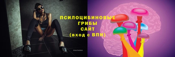 каннабис Арсеньев