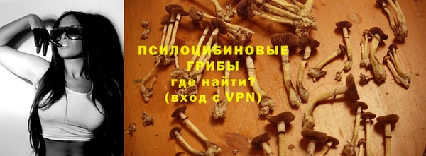 каннабис Арсеньев